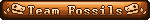Team Fossils 3
